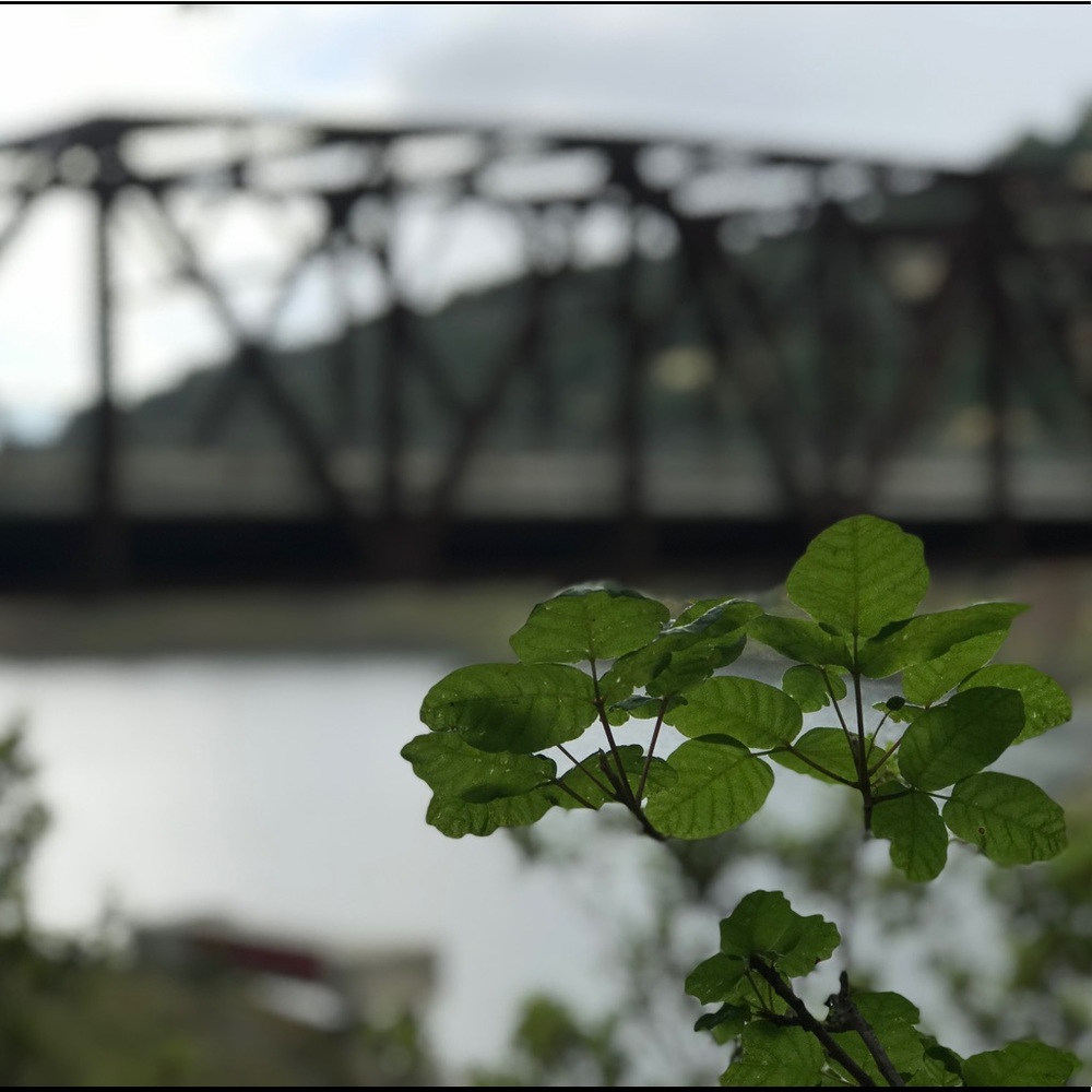 Meet your Posher, Tyler